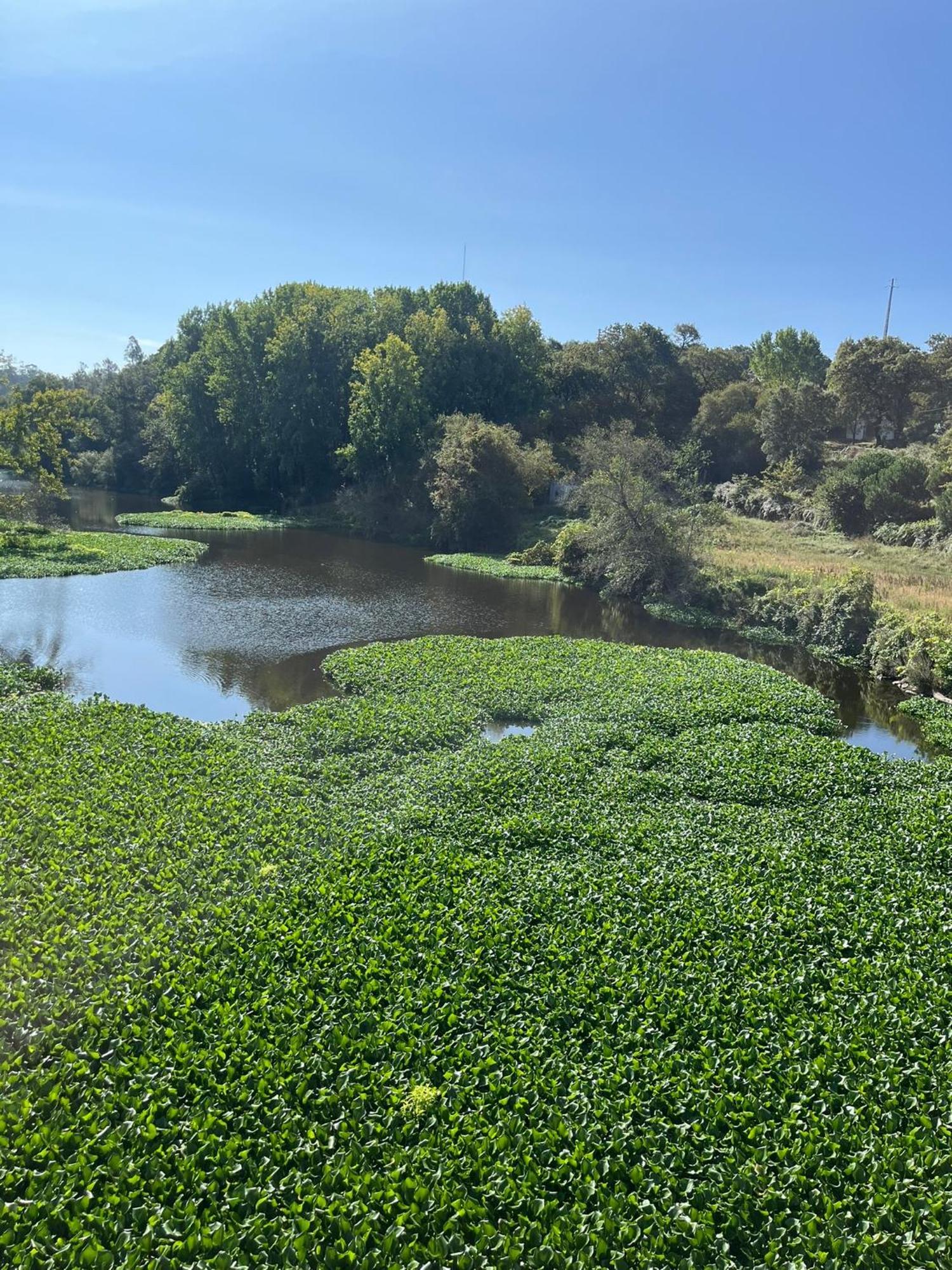 Mar Azul Apartman Póvoa de Varzim Kültér fotó